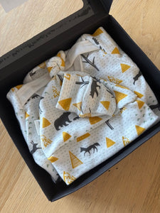 Box Set - Birch Bear Set