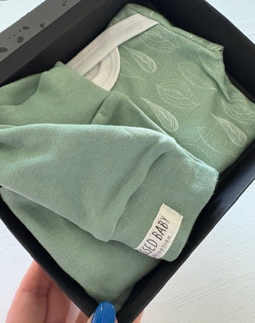 Box Set - Sage Leaf